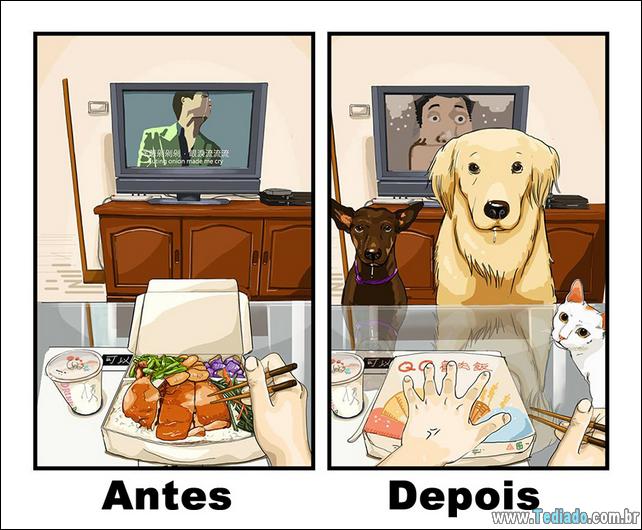 vida-antes-e-depois-de-ter-um-cachorro-04