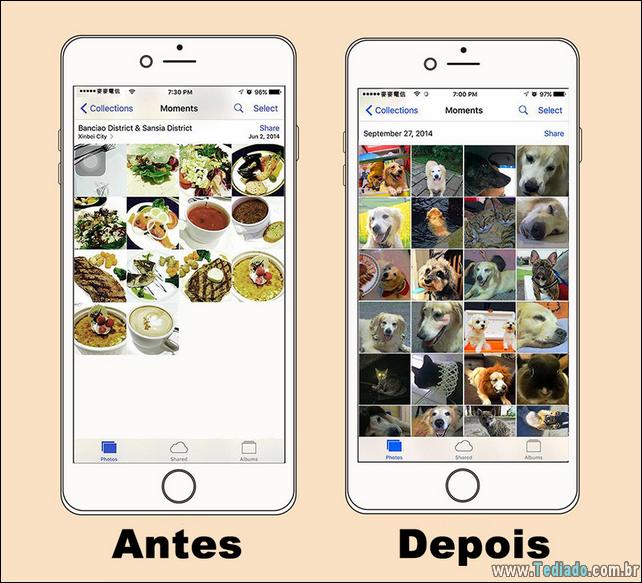 vida-antes-e-depois-de-ter-um-cachorro-05