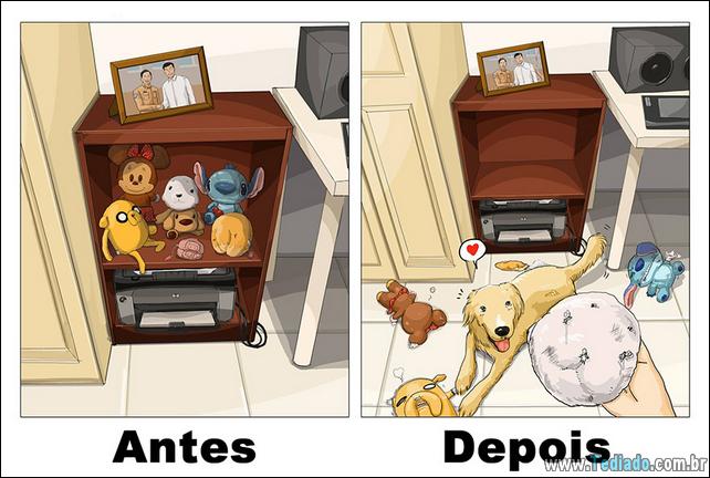 vida-antes-e-depois-de-ter-um-cachorro-07