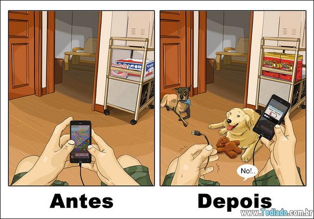 vida-antes-e-depois-de-ter-um-cachorro-08