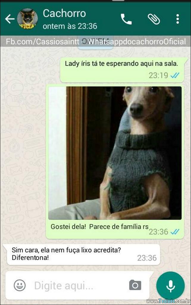 conversar-com-cachorro-02