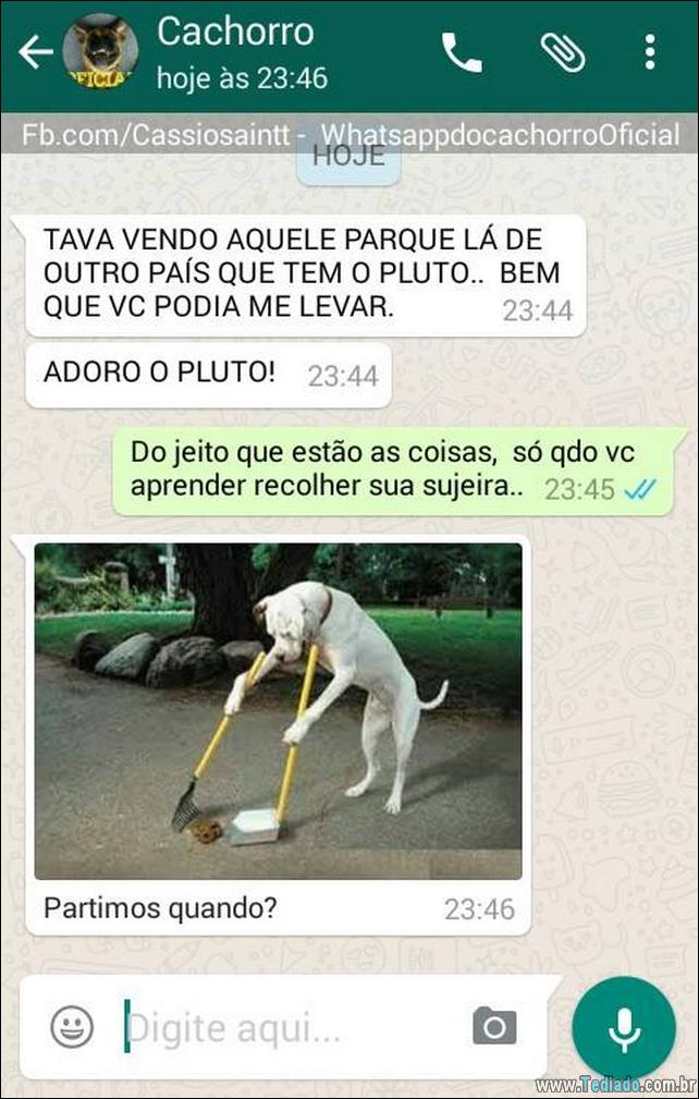 conversar-com-cachorro-04