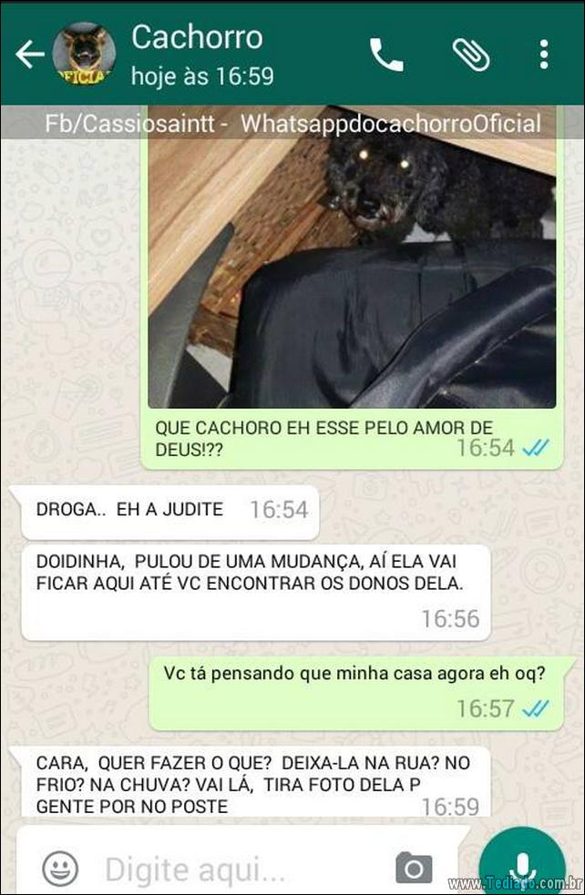 conversar-com-cachorro-05