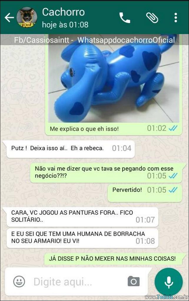 conversar-com-cachorro-08