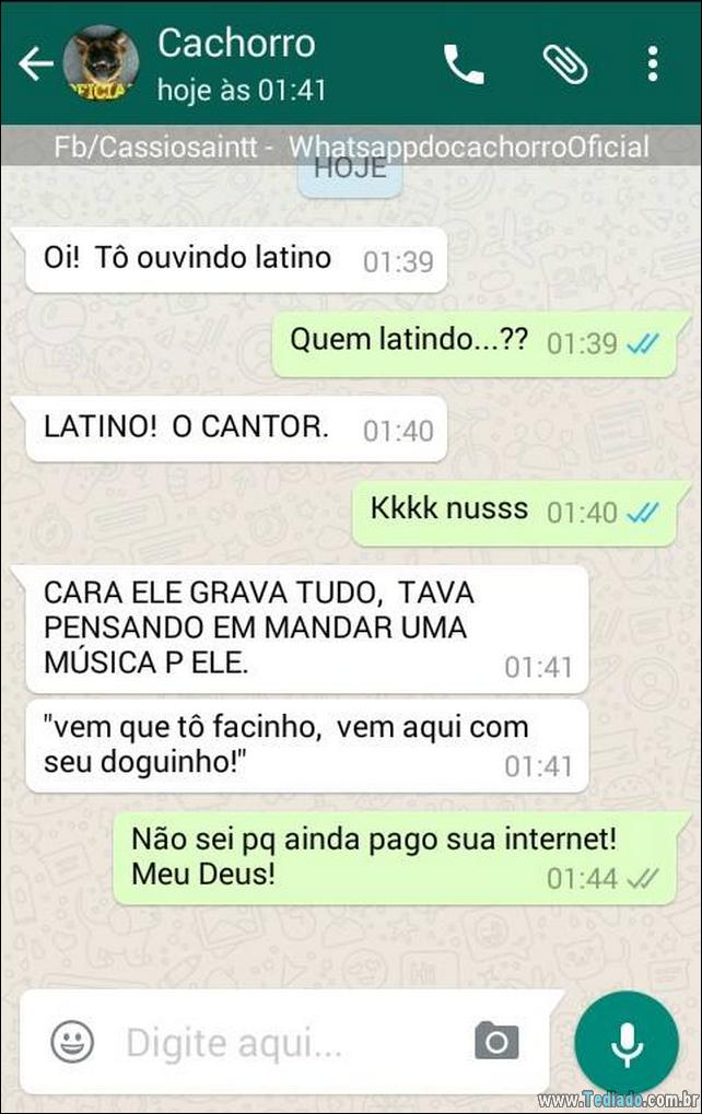 conversar-com-cachorro-09