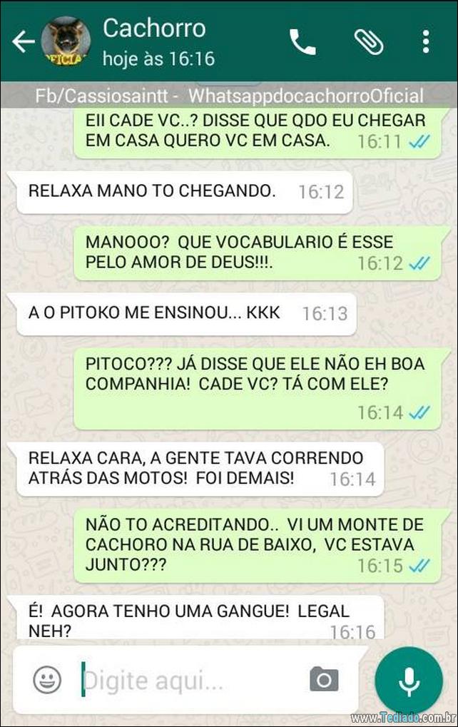 conversar-com-cachorro-10