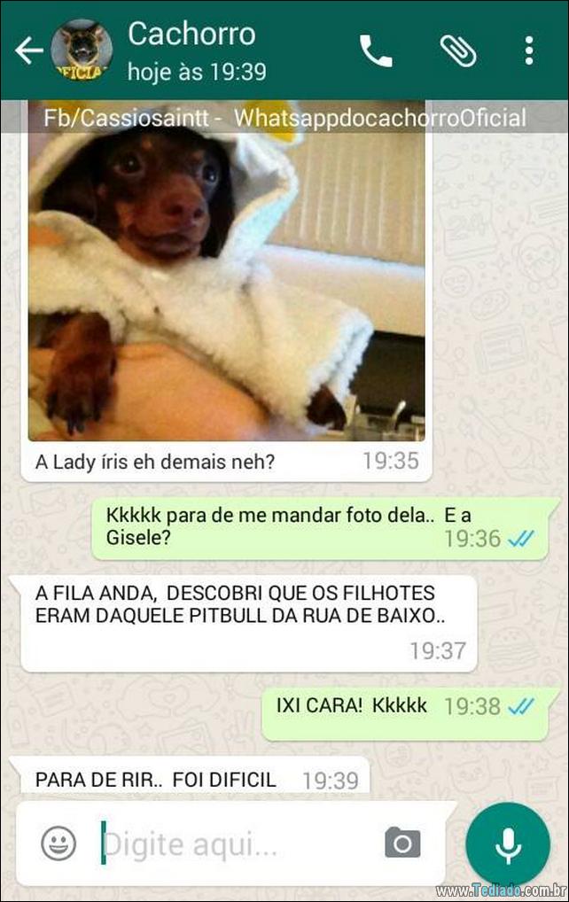 conversar-com-cachorro-13