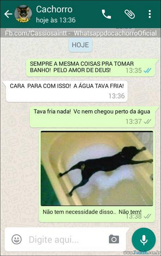 conversar-com-cachorro-14