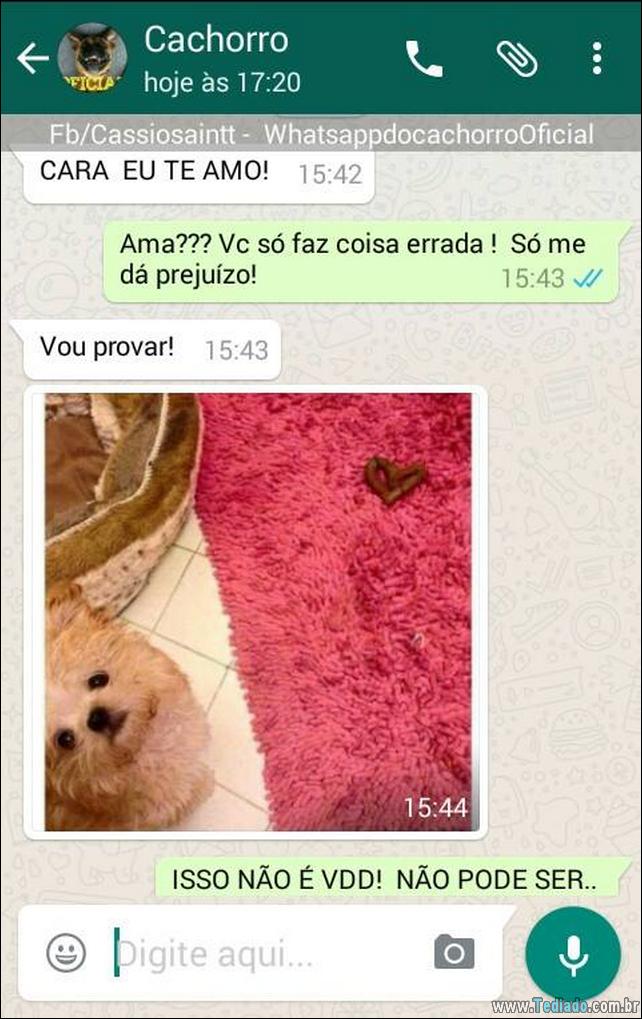 conversar-com-cachorro-15
