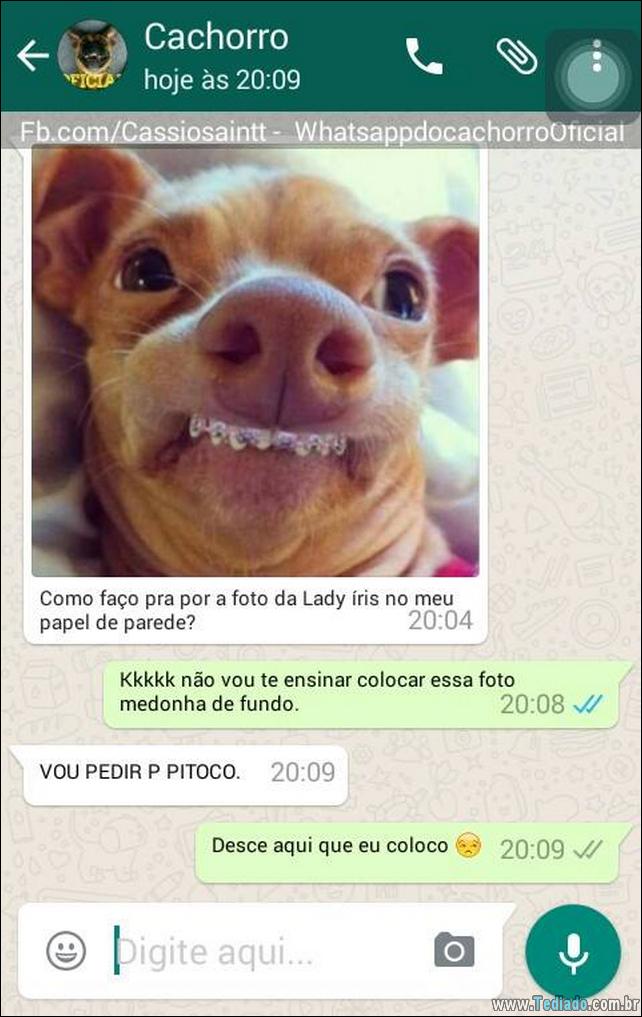 conversar-com-cachorro-16