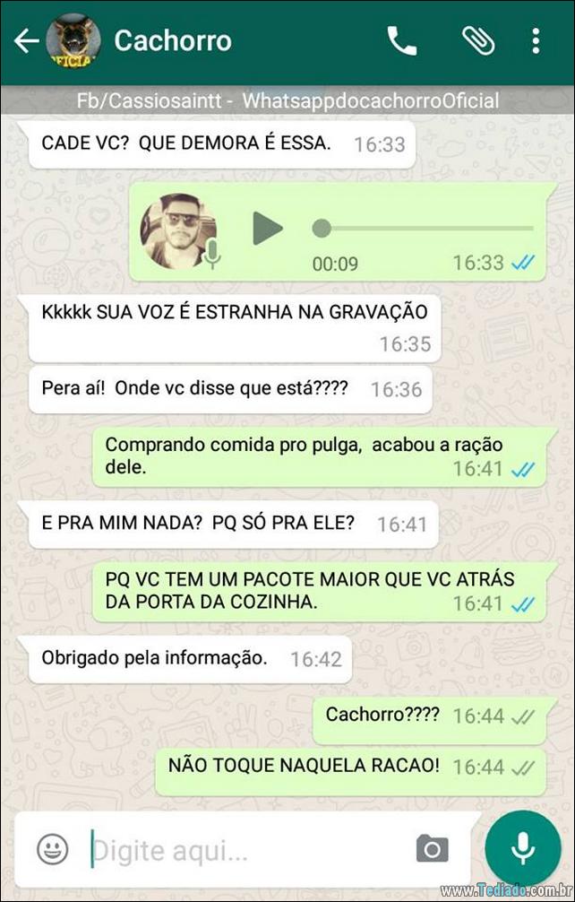 conversar-com-cachorro-18