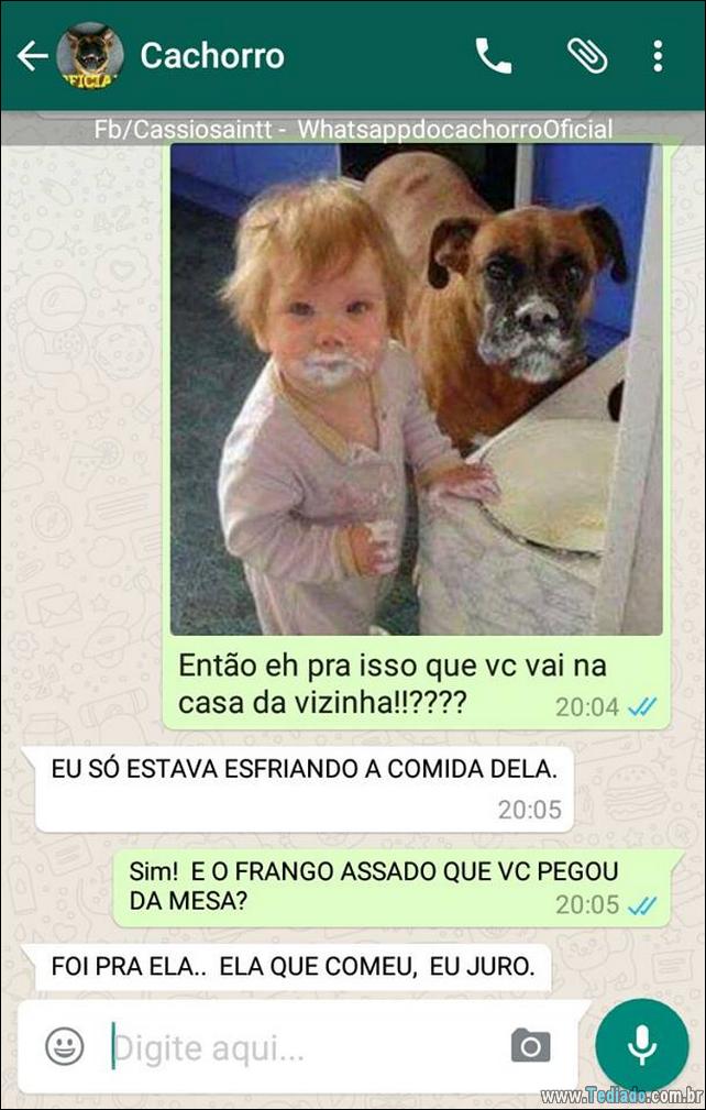 conversar-com-cachorro-19
