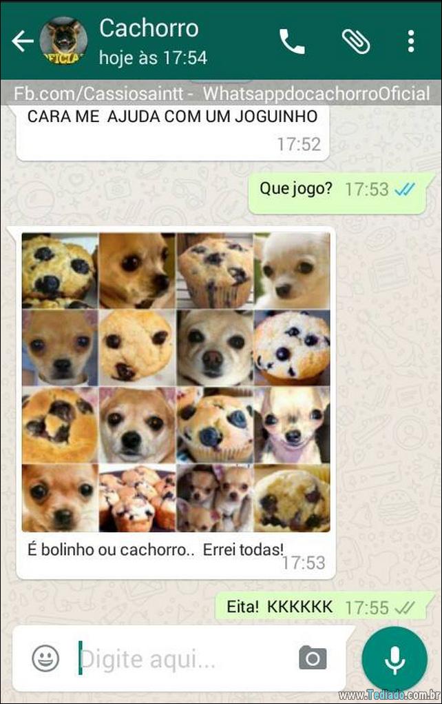 conversar-com-cachorro-20