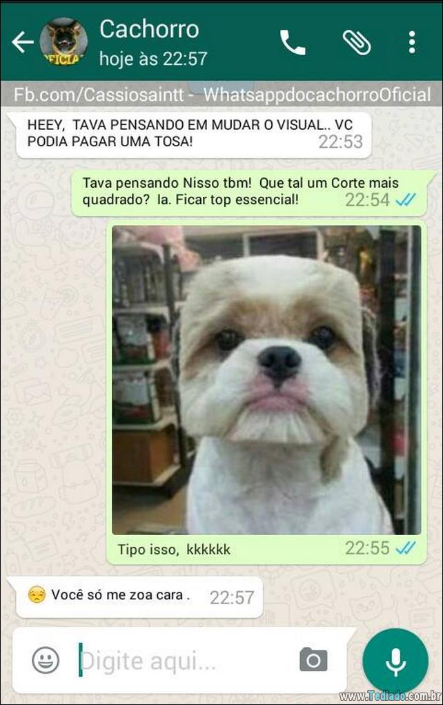 conversar-com-cachorro-21