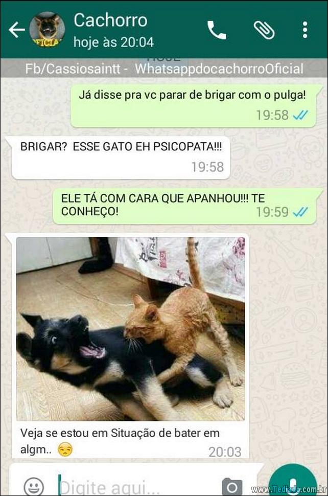 conversar-com-cachorro-22