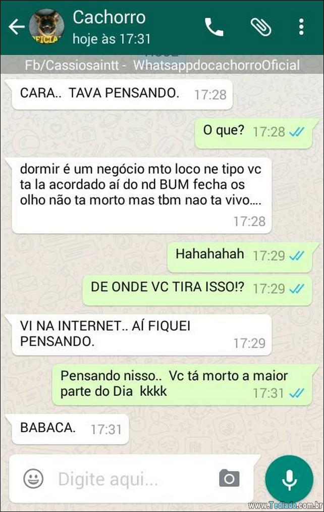 conversar-com-cachorro-24
