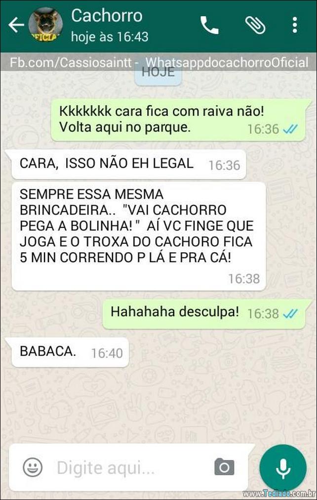 conversar-com-cachorro-25