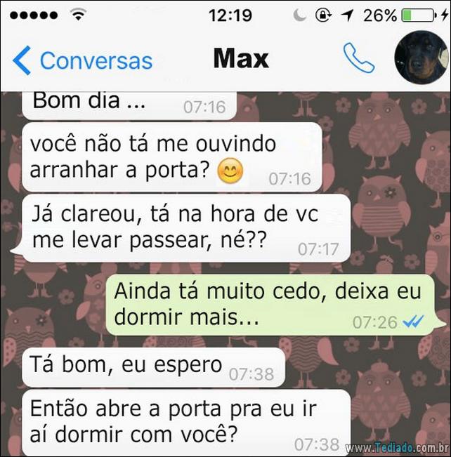 cachorro no WhatsApp