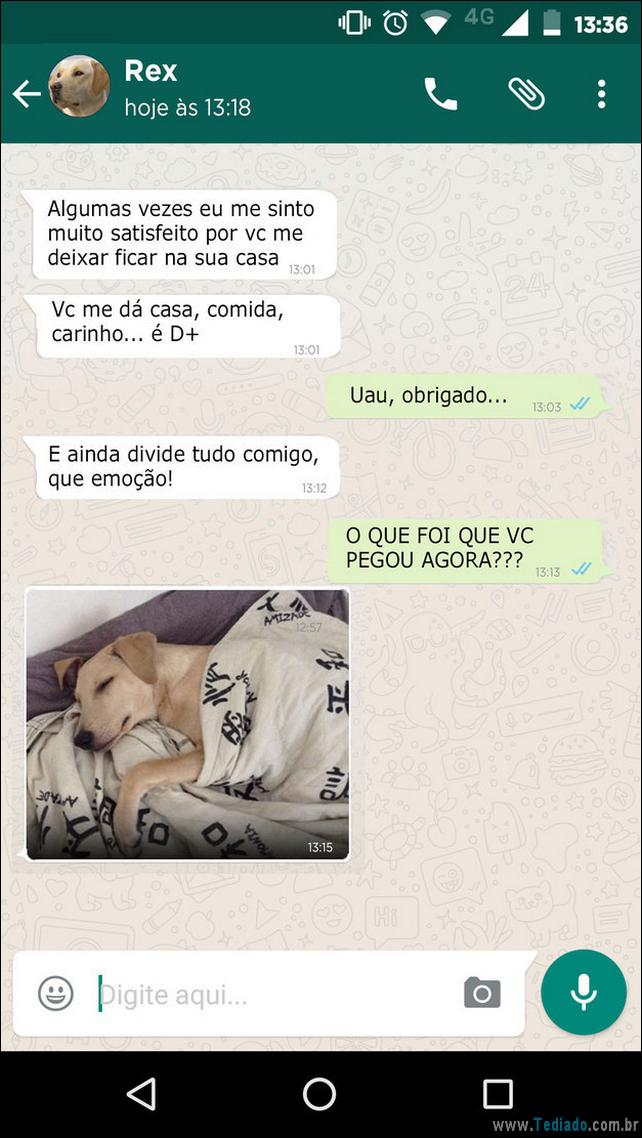 conversar-whatsapp-cachorro-02
