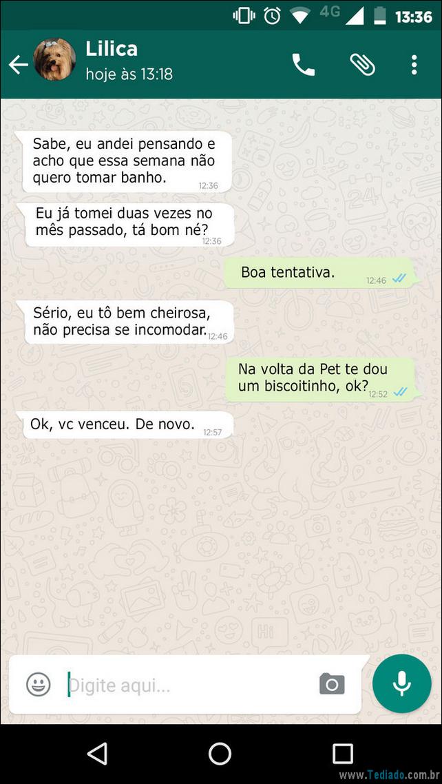 conversar-whatsapp-cachorro-05