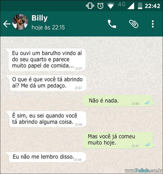 conversar-whatsapp-cachorro-07