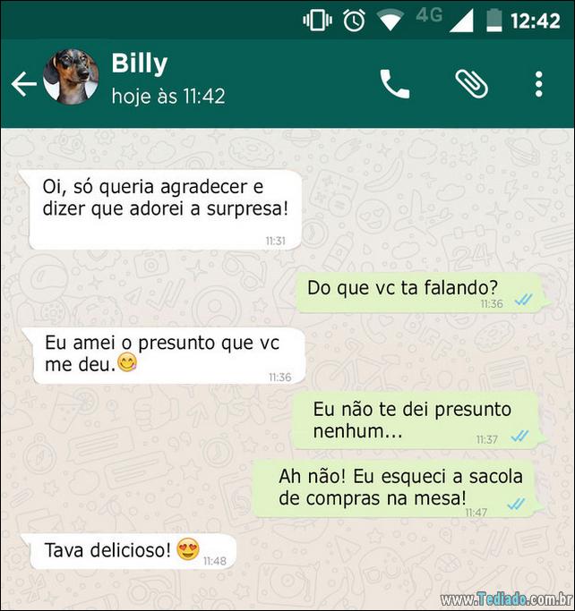 conversar-whatsapp-cachorro-08