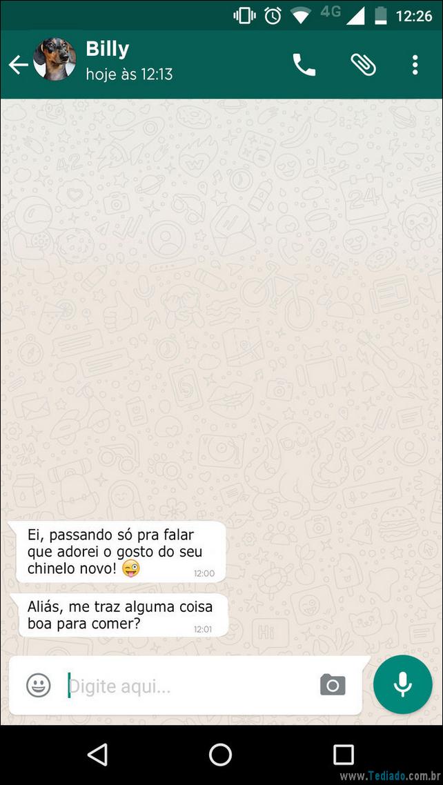 cachorro no WhatsApp