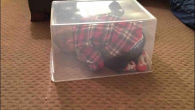 35 crianças que são mestre na brincadeira esconde esconde 9