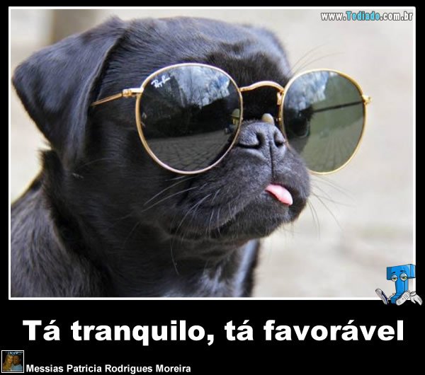 plaquinha-divertidas-04