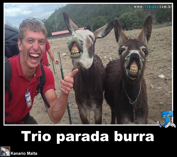 plaquinha-divertidas-07