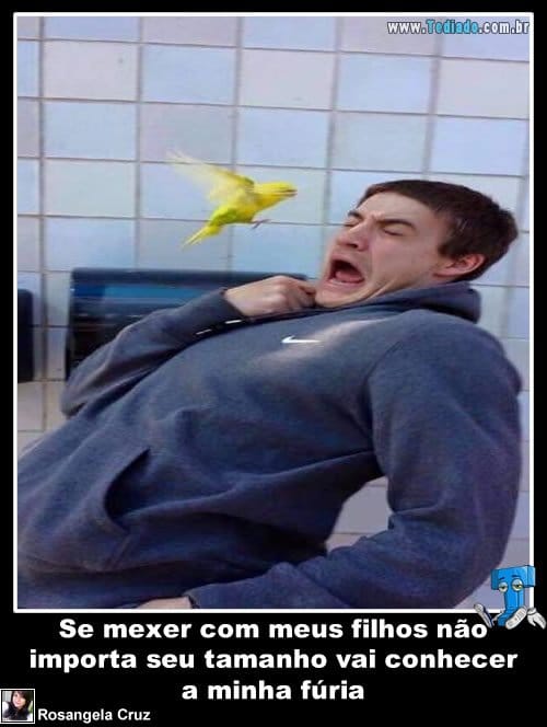 plaquinha-divertidas-09