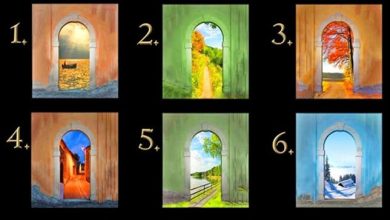 Teste seu potencial de vida 8