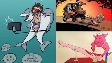33 ilustrações chocantes revelam como os animais sentem 13
