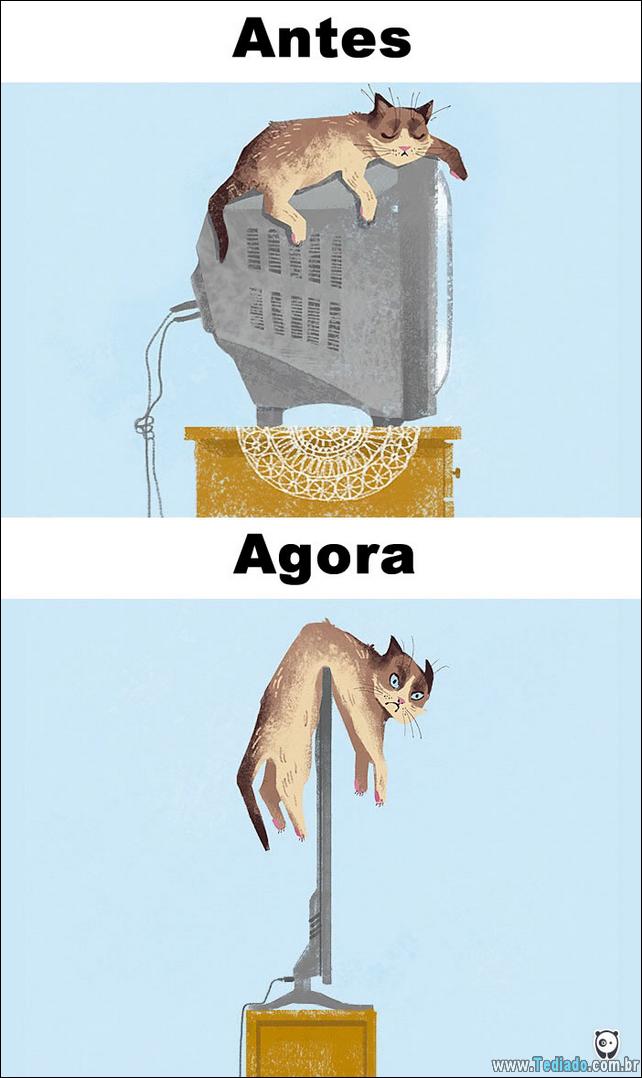 antes-e-agora-como-tecnologia-mudou-a-vida-gatos-01