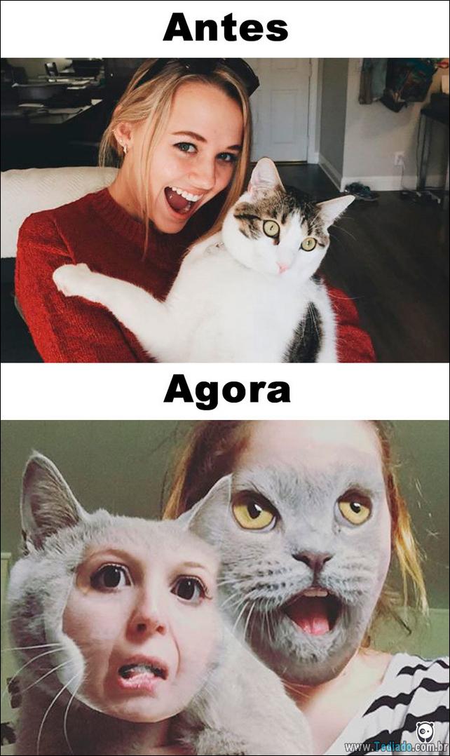 antes-e-agora-como-tecnologia-mudou-a-vida-gatos-12