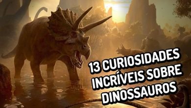 13 curiosidades incríveis sobre dinossauros 8