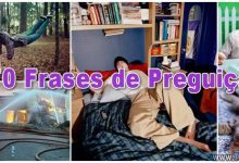 70 Frases de Preguiça 12