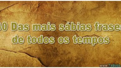 60 das mais sábias frases de todos os tempos 5