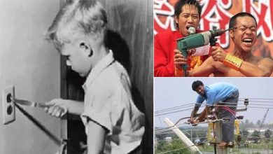 É extremamente perigoso (31 fotos) 1