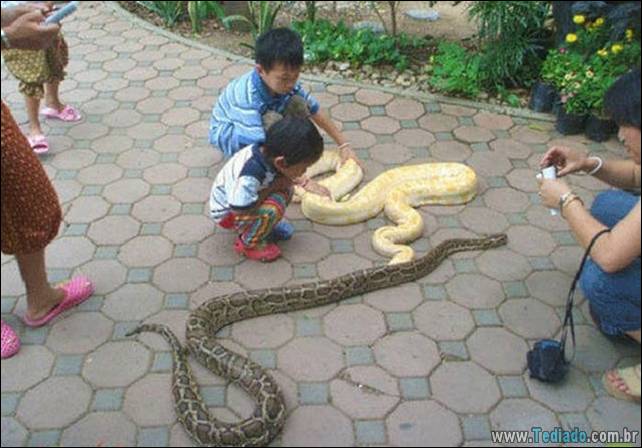 fotos-estranhas-da-tailandia-11