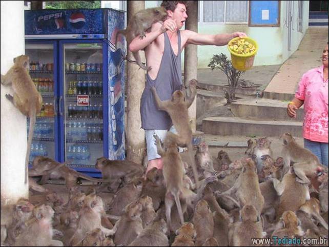 fotos-estranhas-da-tailandia-14