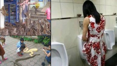 18 fotos estranhas de Tailândia 5