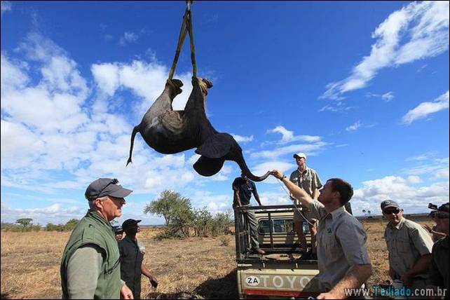 fotos-interessantes-19