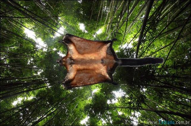 fotos-interessantes-23