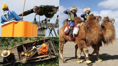 25 Fotos interessantes 35