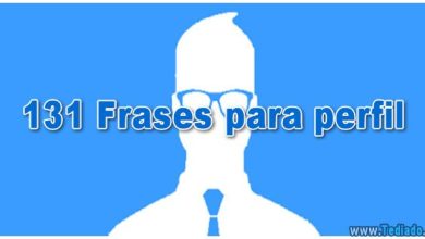 131 Frases para perfil 41