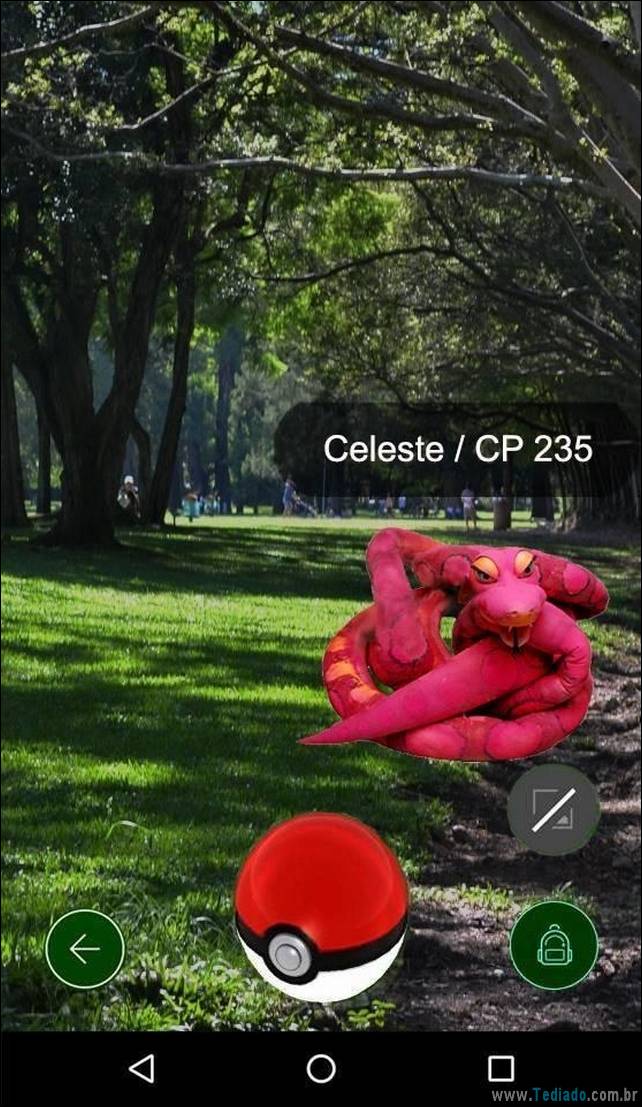 pokemon-go-15