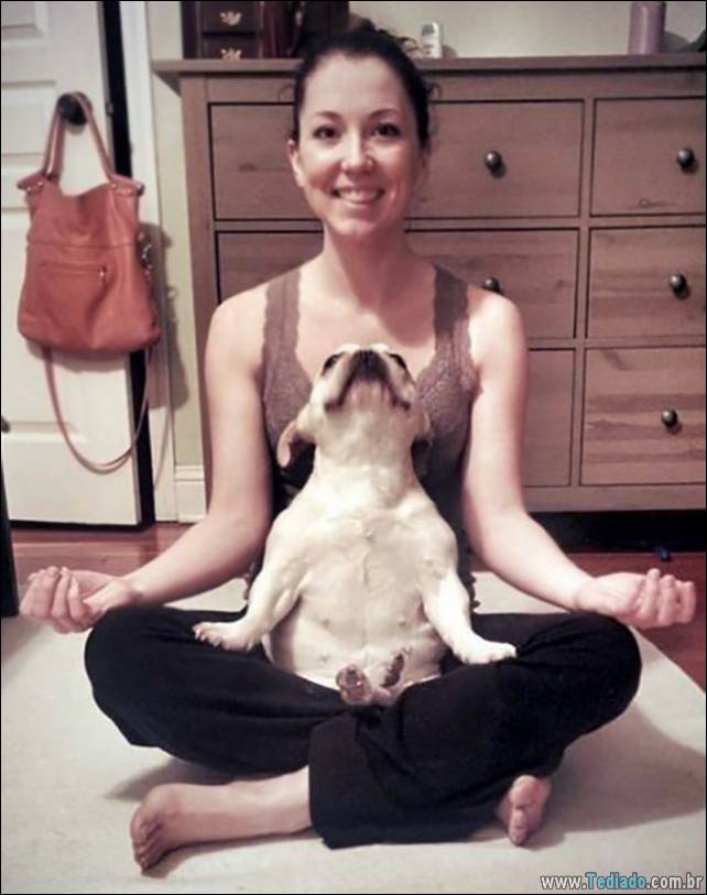 animais-que-faz-yoga-09
