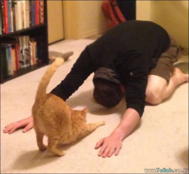 animais-que-faz-yoga-10