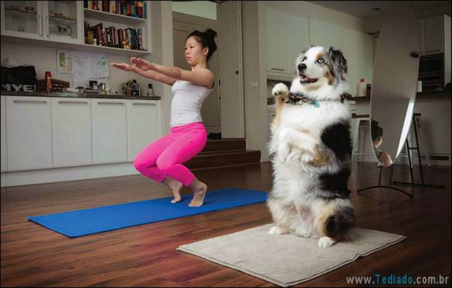 animais-que-faz-yoga-25